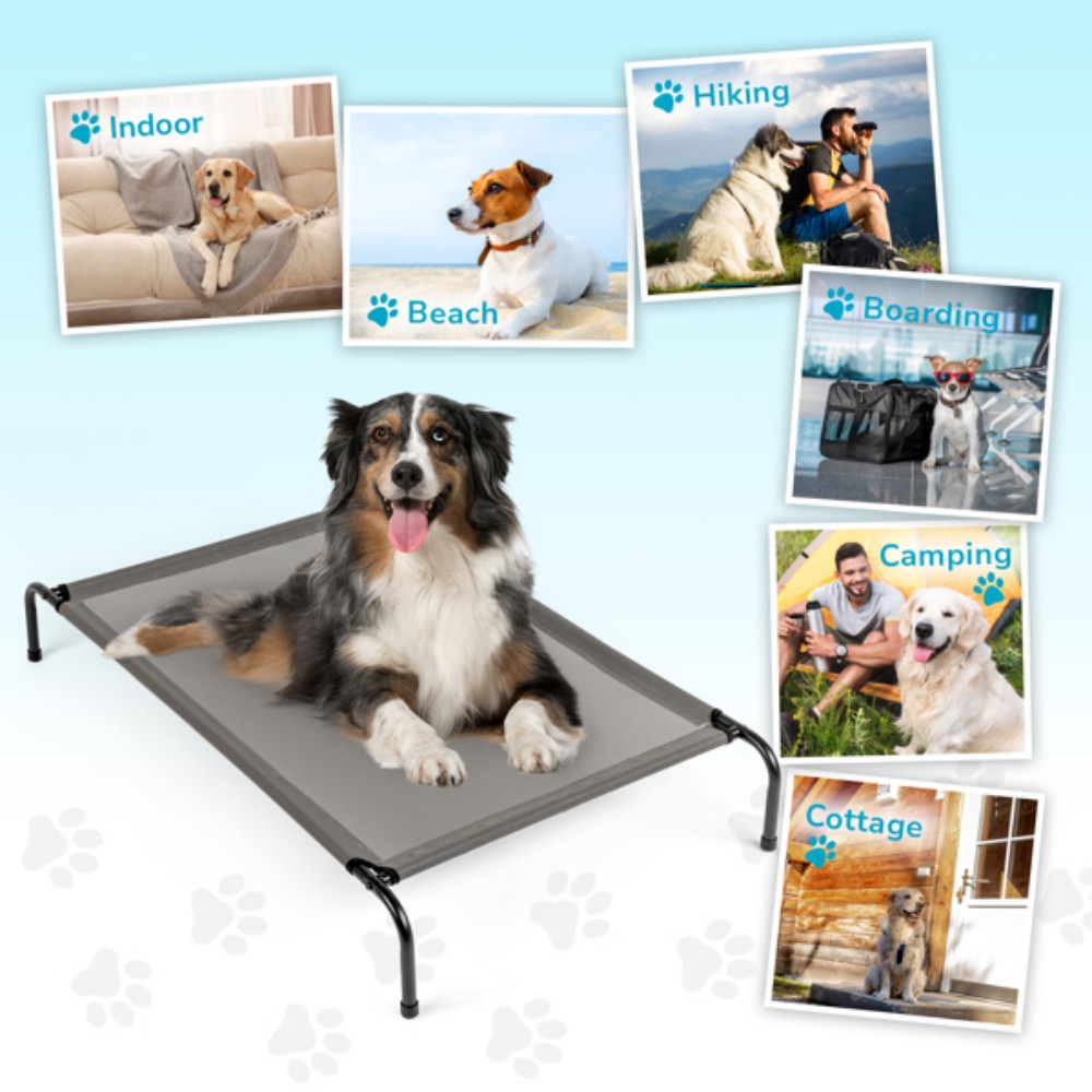 Outdoor Camping Dog Bed - Portable assembled pet bed for cats