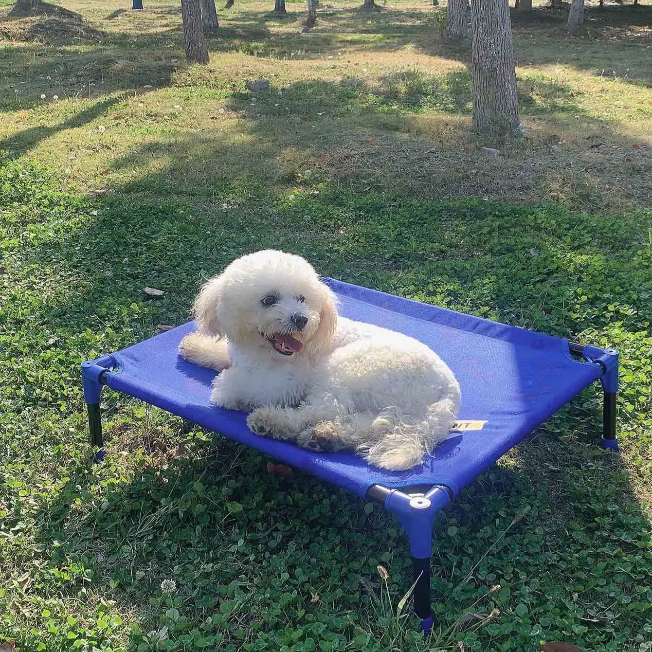 FULED Portable Outdoor Elevate - Outdoor Camping Dog Bed ulasan dan harga