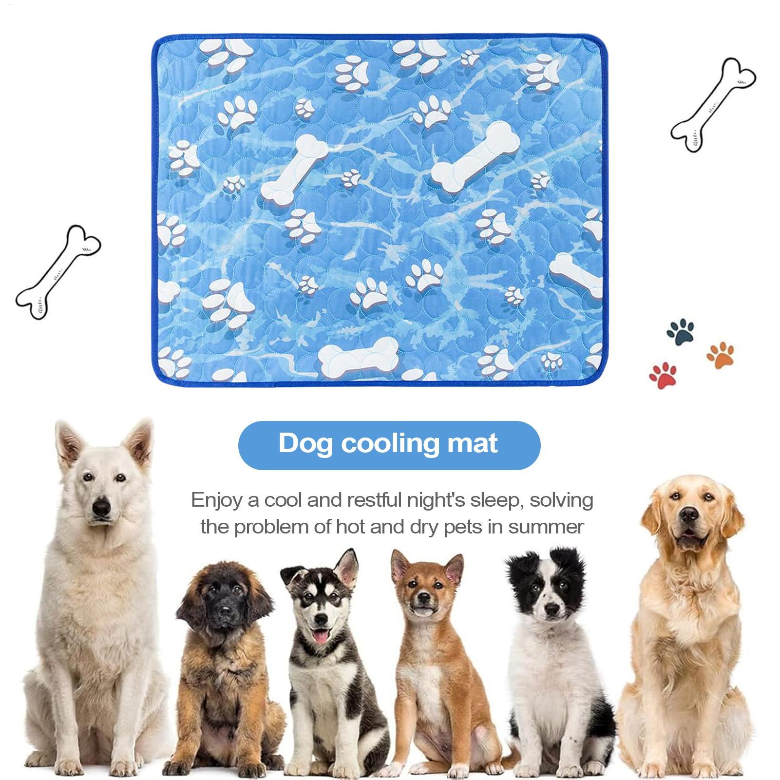 Cooling Mat For Dogs Cool Mat  - Outdoor Camping Dog Bed ulasan dan harga
